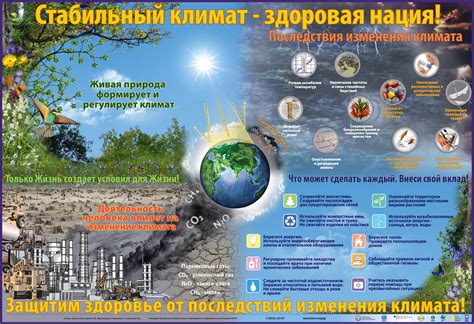 Изменение климата и экосистемы в отсутствие лесов