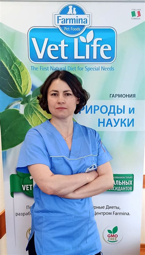 Изменение питания для снижения лишнего веса у кошек