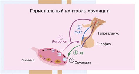 Изменения в настроении и эмоциональное несбалансирование