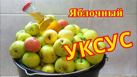 Интересные кулинарные эксперименты с ароматным уксусом из свежих яблок