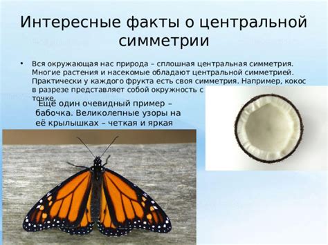 Интересные факты о великолепной симметрии