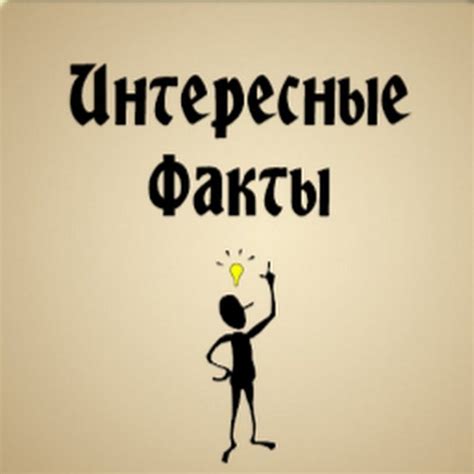 Интересные факты о приставке к стене в помещении в холода и наружной площадке во время зимы