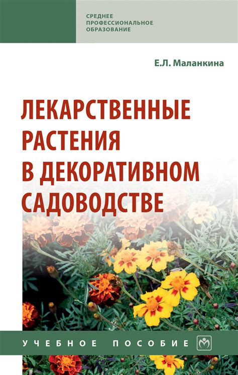 Использование яртышника в медицине и в декоративном садоводстве