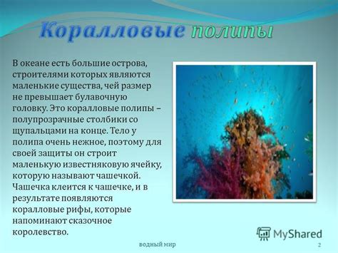 Исследование укрытий и развалин, где обитают непознанные существа из других сфер пребывания
