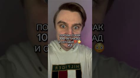 Исследуйте отзывы прошлых гостей и экспертов