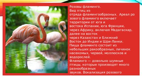 Исследуйте уникальные фермы с экзотическими птицами в Казани