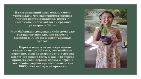 Истоки авокадо и его первые места обитания