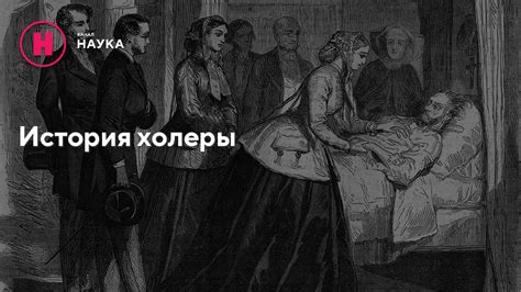 История изучения амбидекстрии