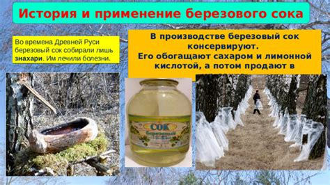 История использования березового сока в народной медицине