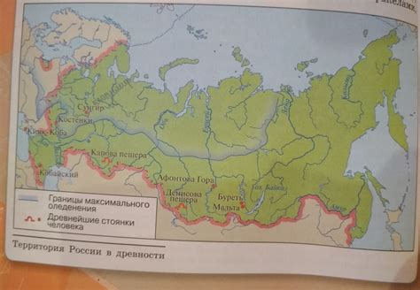 История развития ясеневого леса на территории нашей страны
