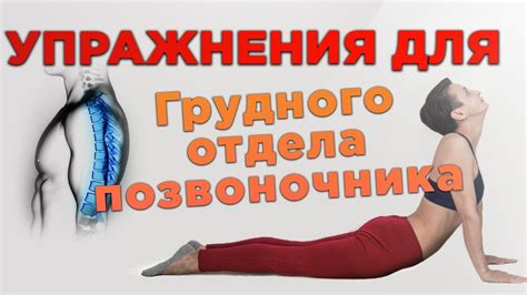 Каким образом массаж способствует улучшению состояния при медианной грыже: механизм воздействия