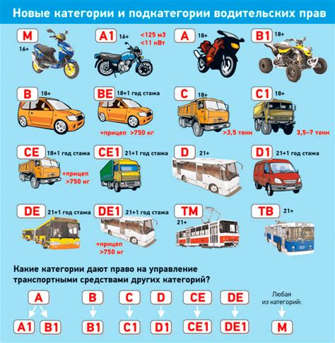 Как выбрать подходящую школу вождения для получения прав категории Е