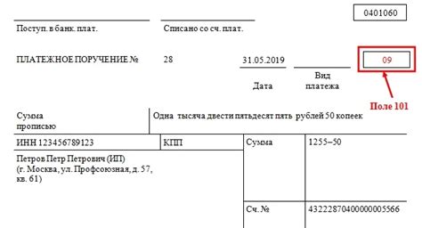 Как заполнить поле 101 - Важная информация для правильного заполнения платежного поручения