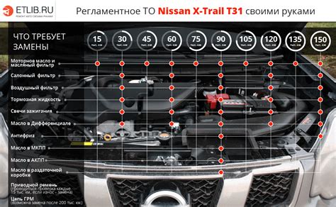 Как найти уникальный идентификационный номер автомобиля Nissan Икстрейл Т32 в документах