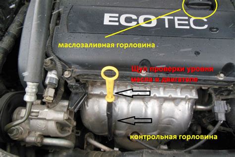 Как найти щуп важного элемента автомобиля Lada Priora