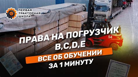 Как определить соответствующую категорию погрузчика при его регистрации