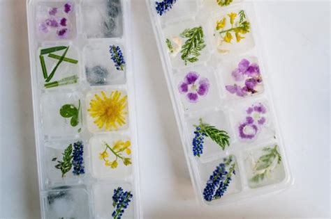 Как правильно размораживать прочный продукт после длительного хранения в холодильной камере