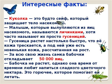 Как привлечь маленького доброго насекомого в свою жизнь
