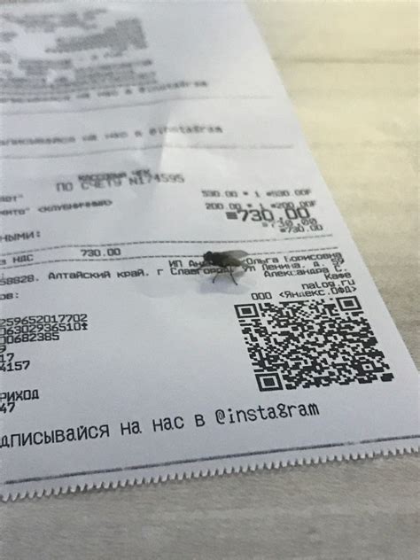 Как распознать секретный код на чеке медицинского эксперта: эффективные советы