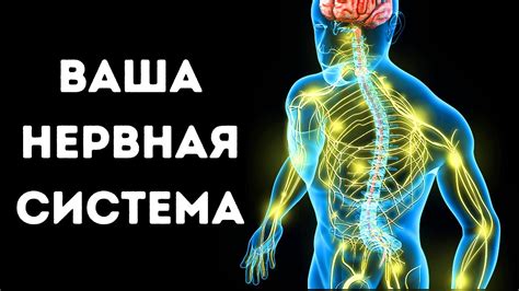 Как распознать сигналы о застоях в нервной системе