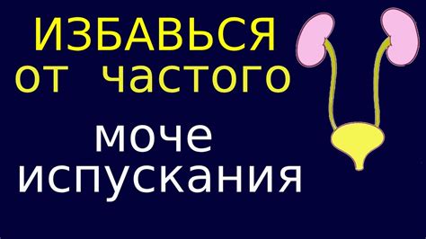 Как решить частое мочеиспускание