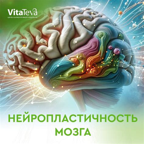 Как символика сна о рыбе связана с эмоциональными потребностями и внутренним состоянием