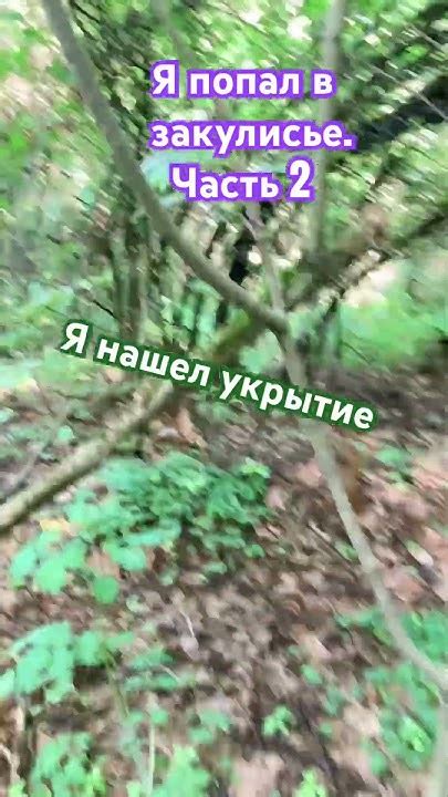 Как я нашел свое идеальное укрытие в городской суматохе