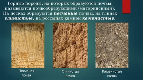 Каменистые гравийно-песчаные почвы на склонах гор: особенности и роль