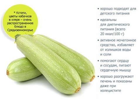 Карбонейтинг и кабачки: сочетаемость и польза