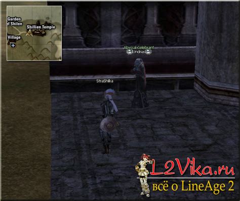 Квесты и задания для увеличения опыта в Lineage 2