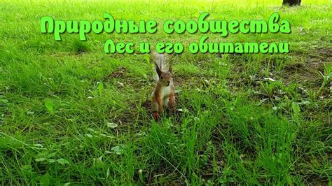 Кипчаки сегодня: обитатели и сообщества 