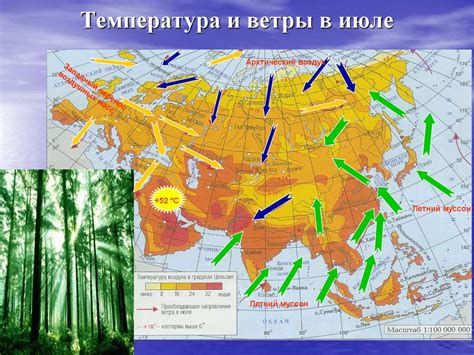 Климатические особенности царственного бассейна