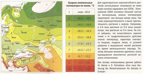 Климатические условия и растительные зоны, подходящие для дуба