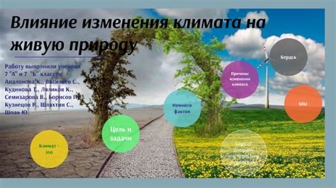 Климатические условия и требования к окружающей среде