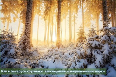Климат и охрана природы в близлежащих районах величественной вершины