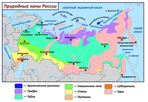 Климат и флора сухих регионов