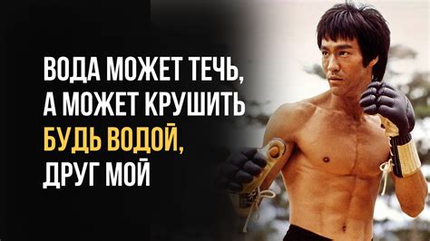 Ключи к успеху взглядом Брюса Ли: вдохновение и мудрые слова
