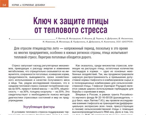 Ключ к защите: получение легкой брони через задания