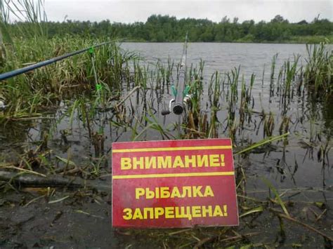 Когда отправиться на рыбалку, чтобы быть уверенным в результате