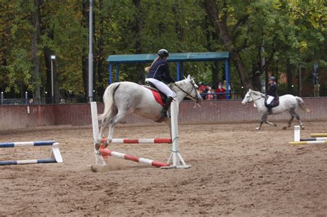 Конно-спортивный клуб "Галактика"