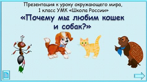 Контролируемые встречи и плавное знакомство между домашними питомцами