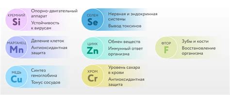 Контроль составляющих рациона: важность макро- и микроэлементов
