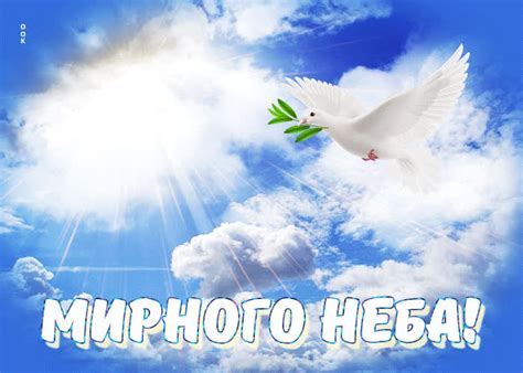Краткое описание Чистого неба и яра