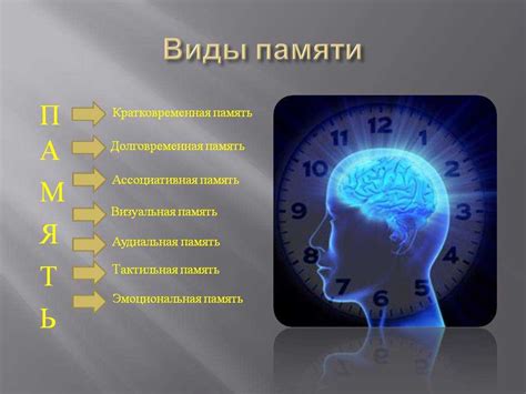 Краткосрочная память и ее ограничения