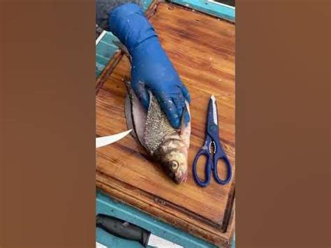 Кровь при разделке рыбы на фрагменты во сне: значение символа