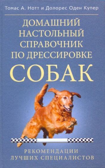 Курсы и тренинги от опытных специалистов по дрессировке собак