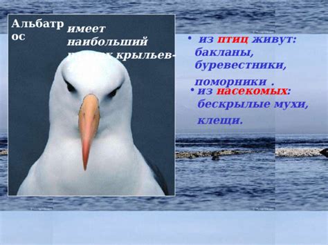Ландшафты, представляющие наибольший интерес для этих птиц
