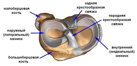 Латеральный шов: преимущества и особенности