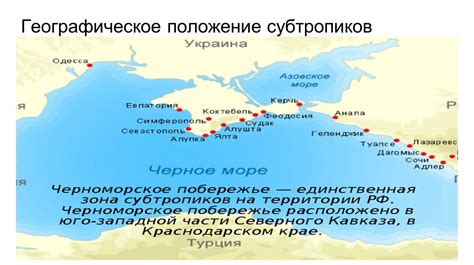Легенда о прогулке на побережье Черноморского моря