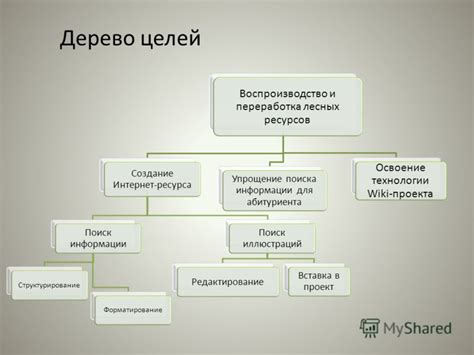 Лесные подсказки и наводки: упрощение поиска желанной информации